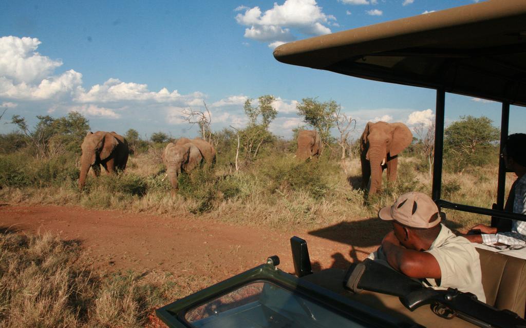 Etali Safari Lodge Madikwe Game Reserve Luaran gambar